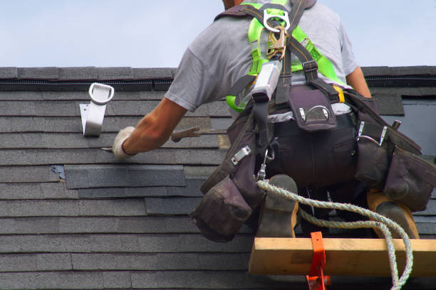 Best Chimney Flashing Repair  in Point Pleasant, WV